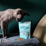 Thumbnail for Scrumbles Gnashers Cat Dental Treats – A Tasty Way to Support Your Cat’s Oral Health