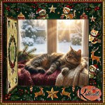 Thumbnail for Why does my cat sunbathe in the warmest spot?