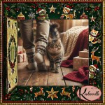 Thumbnail for Why does my cat follow me everywhere?