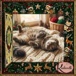 Thumbnail for Why does my cat roll over and show their belly?