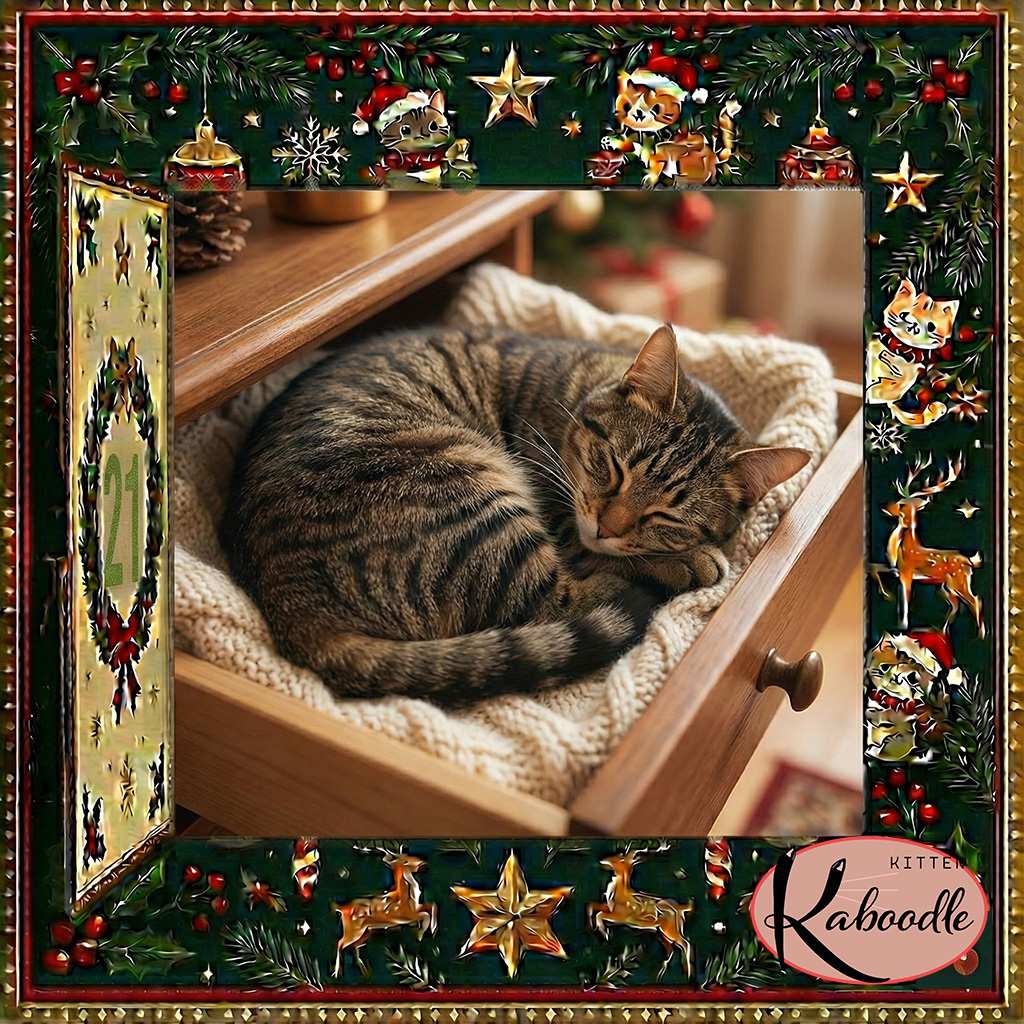 A relaxed cat curled snugly inside a tiny box or enclosed nook