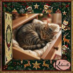 Thumbnail for Why do cats squeeze into tiny spaces?