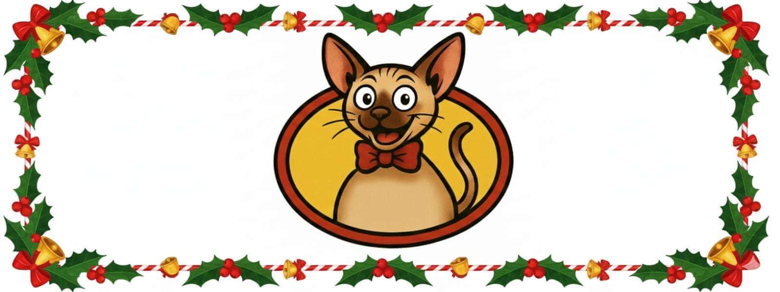 r'Kid the Kitten Kaboodle Sphynx cat in a festive Christmas frame